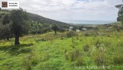 Kalamaki Kreta, Kalamaki Grundstück 2.600 m² zu verkaufen Grundstück kaufen